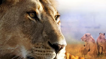 León. Auge y caída de la manada del pantano
