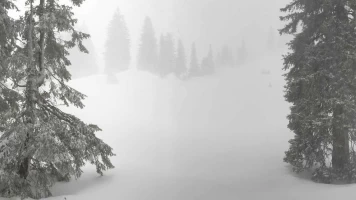 El blanco invierno, estación en el borde alpino