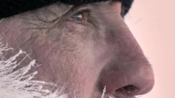 El reino del oso polar