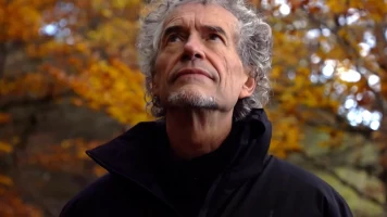 El señor de los bosques