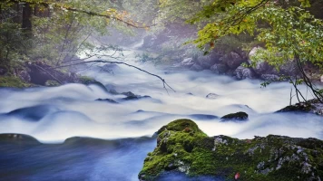 Austria salvaje. La fuerza del agua