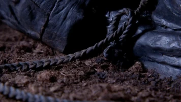 El misterio de la momia de la ciénaga