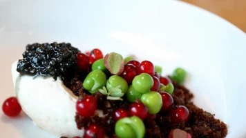 Sabores del mundo
