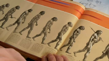 Neandertal, tras la huella de otra humanidad