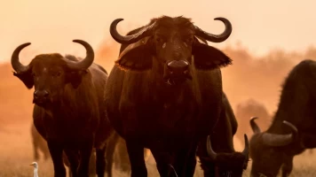Los cambios de la naturaleza