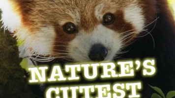 Animales adorables