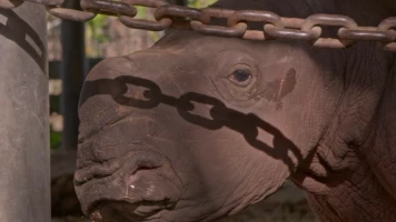 Especial Secretos del zoo Tampa