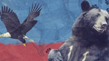 United States Of Animals