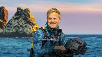 Tiburones martillo en primer plano con Bertie Gregory