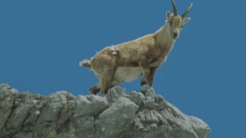 Montañas de Alemania