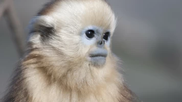 Los reinos ocultos de China