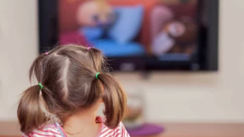 Rocky y la catástrofe gatuna