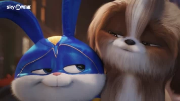 Mascotas 2