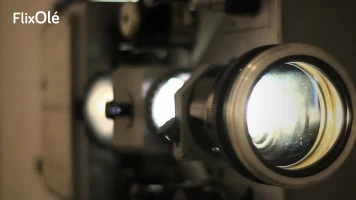 Como el perro y el gato