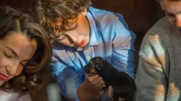 Camino hacia la libertad