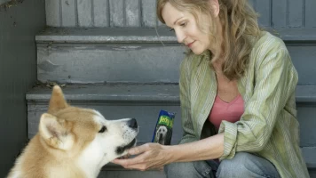 Siempre a tu lado (Hachiko)