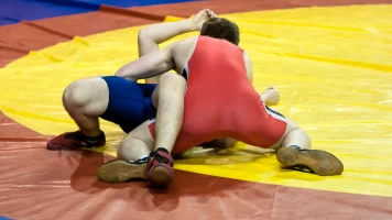 Reportajes TDP - Lucha