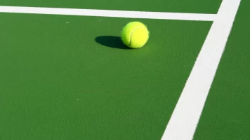 Primera ronda. Primera ronda: Día 2 - Partido 2