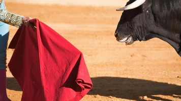 Feria de San Isidro: Corrida de la prensa 2025