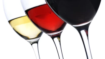 Tierra de vinos