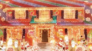 Un vecino con pocas luces