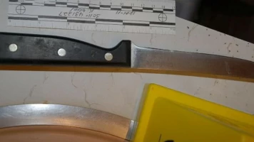 Crímenes en Florida