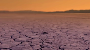 Crímenes en Las Vegas