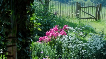 Histoire(s) de jardins