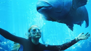 Blueback
