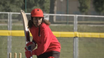Les del criquet