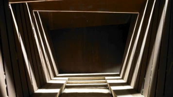 Animals arquitectes