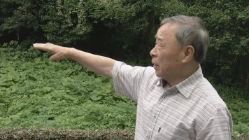 Nits sense ficció: Buscant el nen de Nagasaki