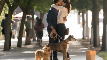I love dogs