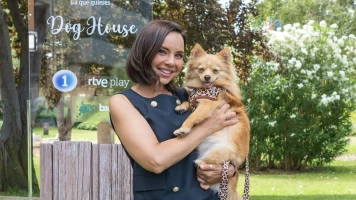 Dog House