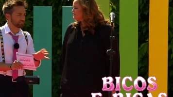 Bicos e bicas