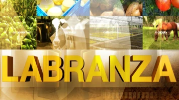 Labranza