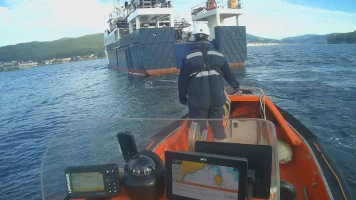 Os gardiáns do mar