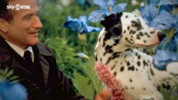 Más allá de los sueños