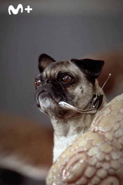 Men in Black II (Hombres de negro II)