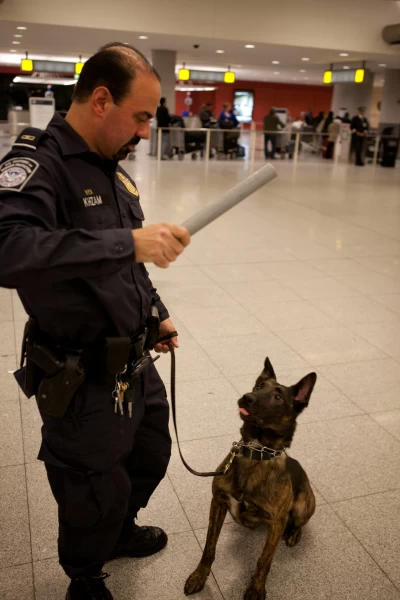 JFK: Control de aduanas