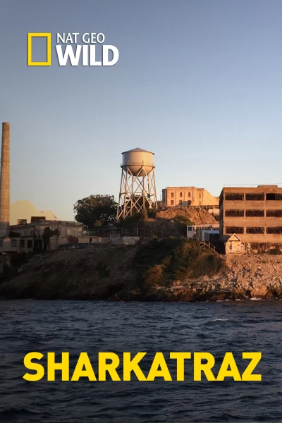 Sharkatraz