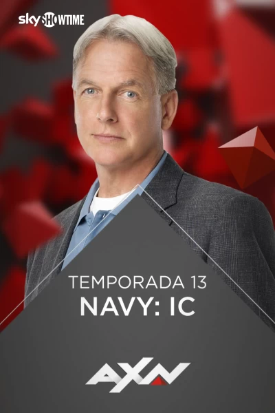 Navy: Investigación criminal
