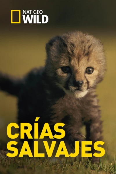 Crías salvajes 