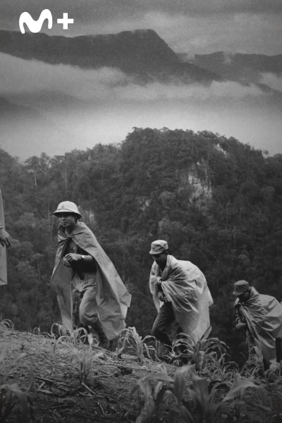 La Guerra de Vietnam. La Guerra de Vietnam: Domar a la fiera