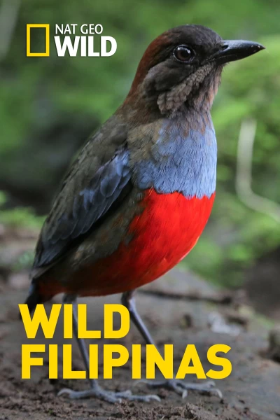 Wild Filipinas