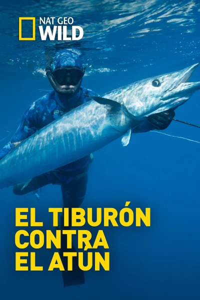 El tiburón contra el atún