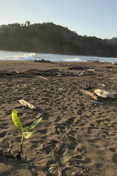 De viaje: de Garachiné a Juradó