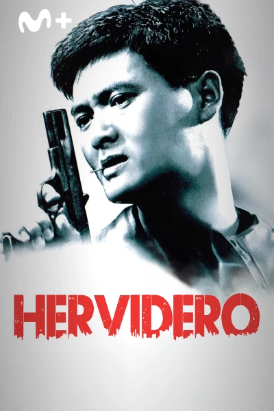Hervidero