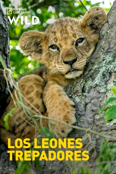 Los leones trepadores