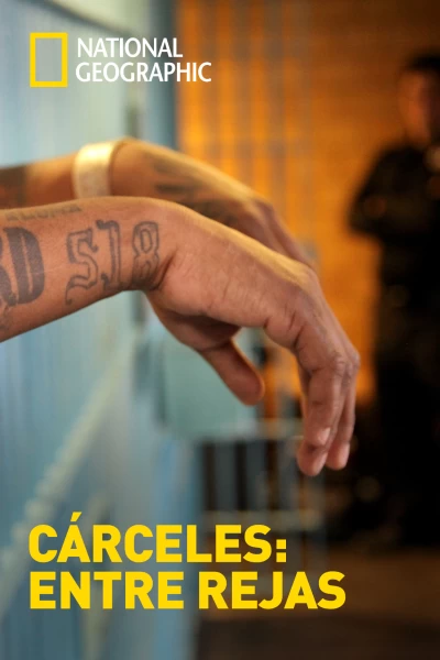 Cárceles: Entre rejas